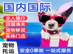临汾尧都空运公司国际宠物托运 【国